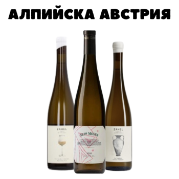 Алпийска Австрия (пакет)
